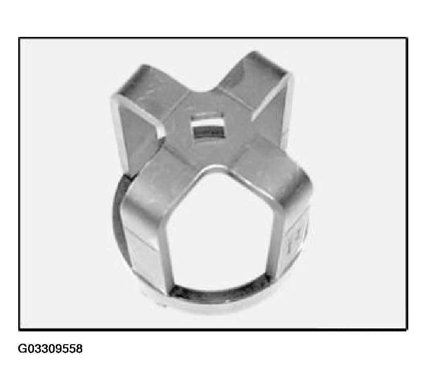 G03309558