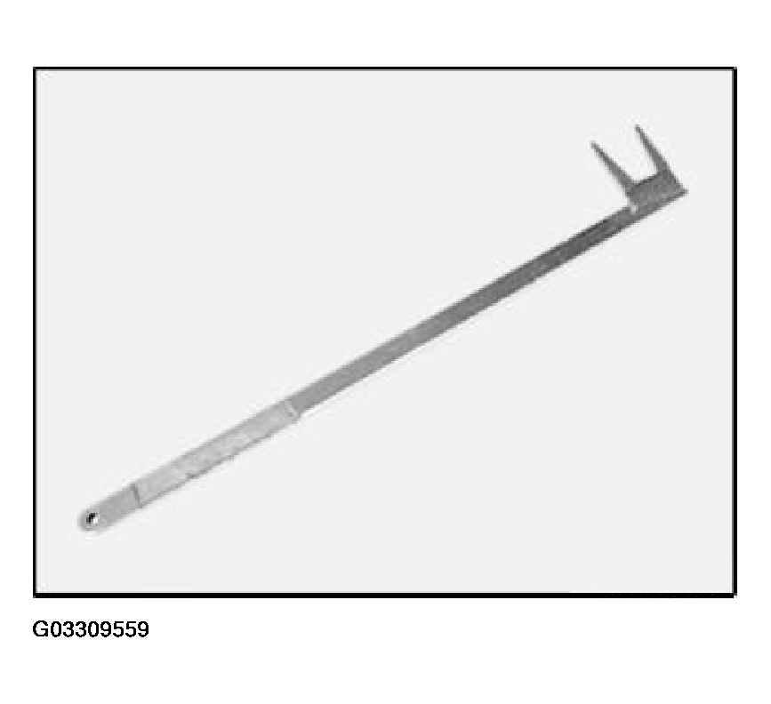 G03309559