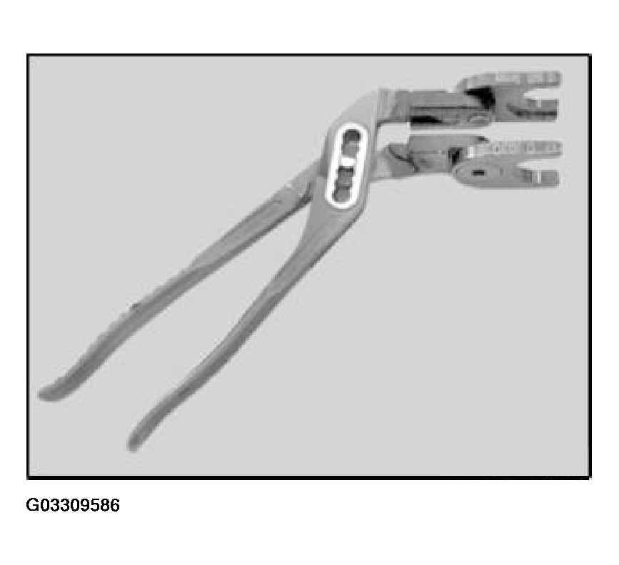 G03309586