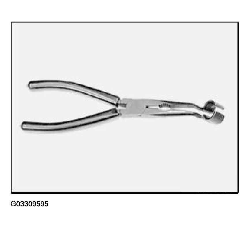 G03309595