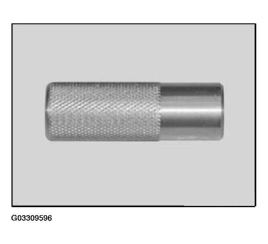 G03309596