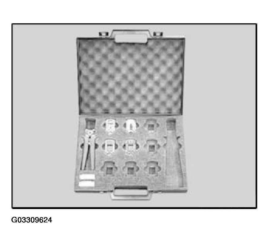 G03309624