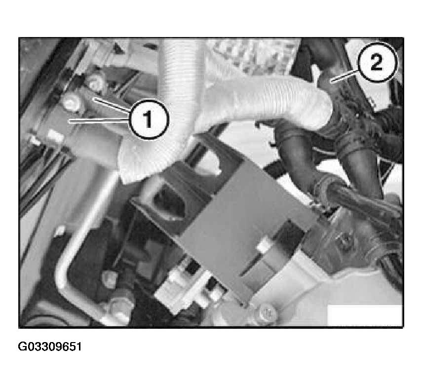G03309651