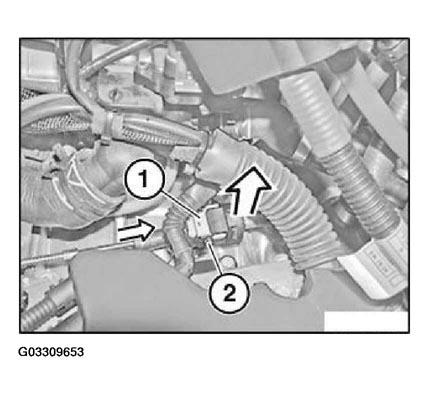 G03309653