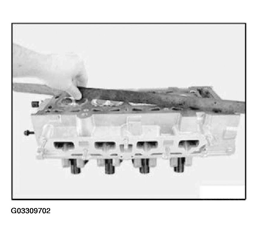 G03309702
