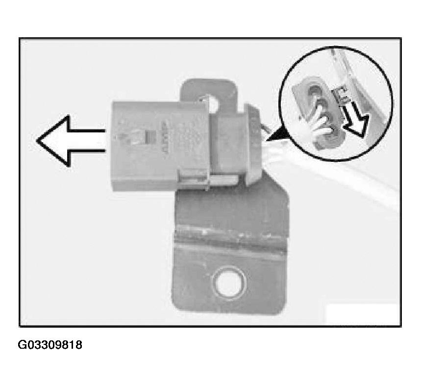 G03309818