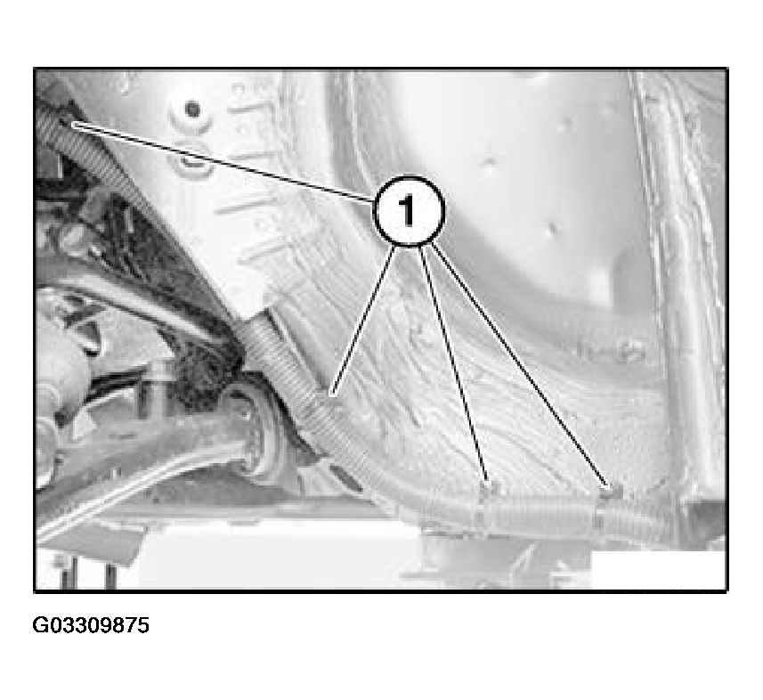 G03309875