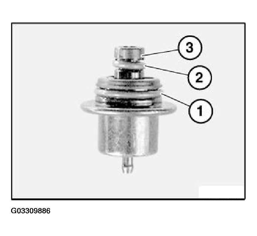 G03309886