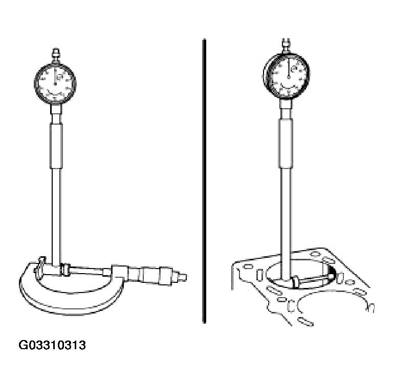 G03310313