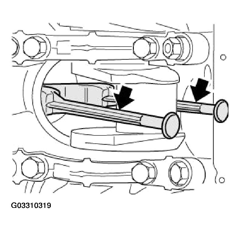 G03310319