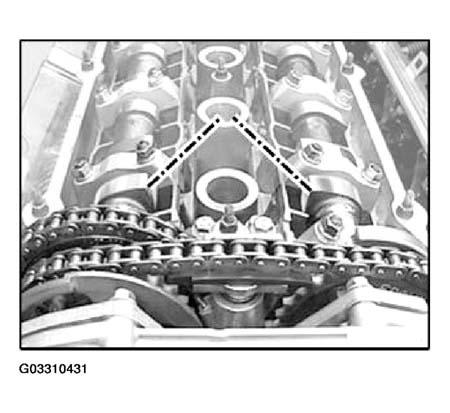G03310431
