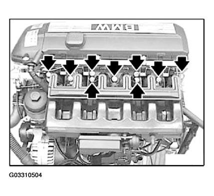 G03310504