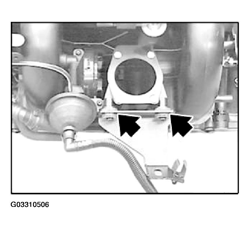G03310506