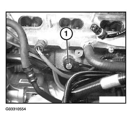 G03310554