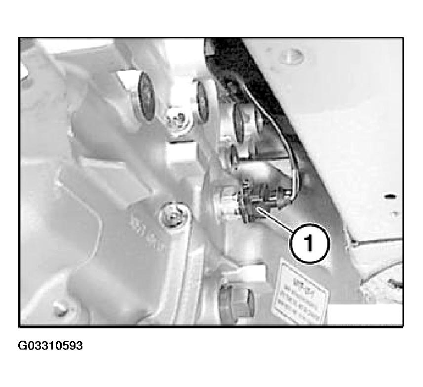 G03310593