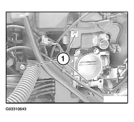 G03310643