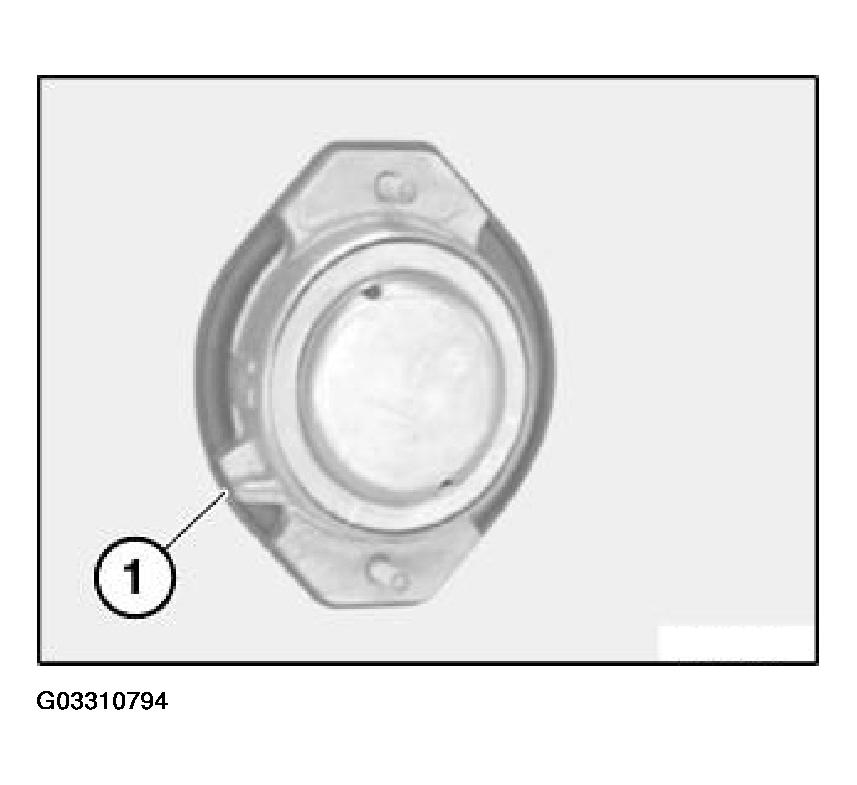 G03310794