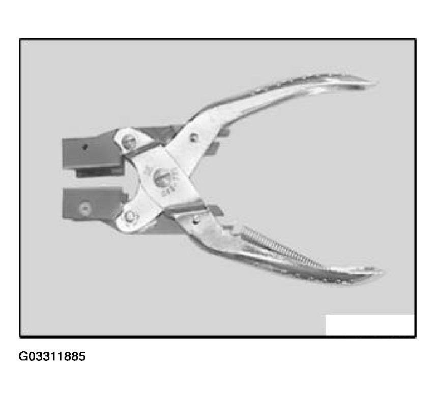 G03311885