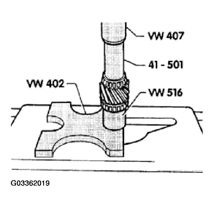 G03362019