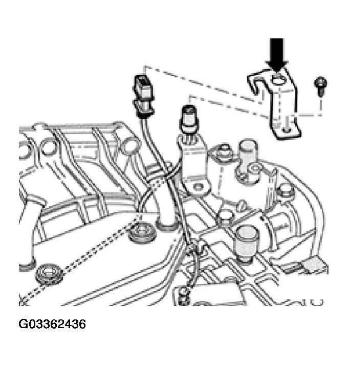 G03362436