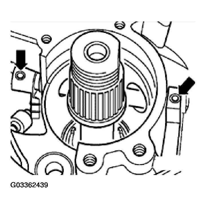 G03362439