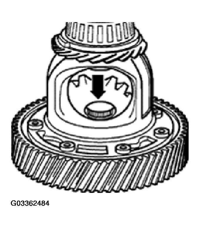 G03362484