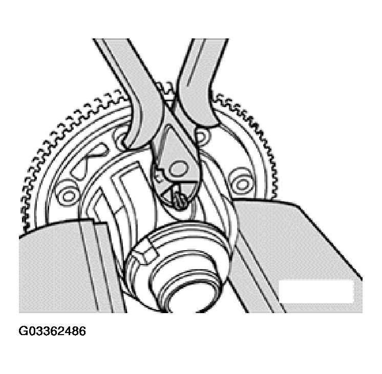 G03362486