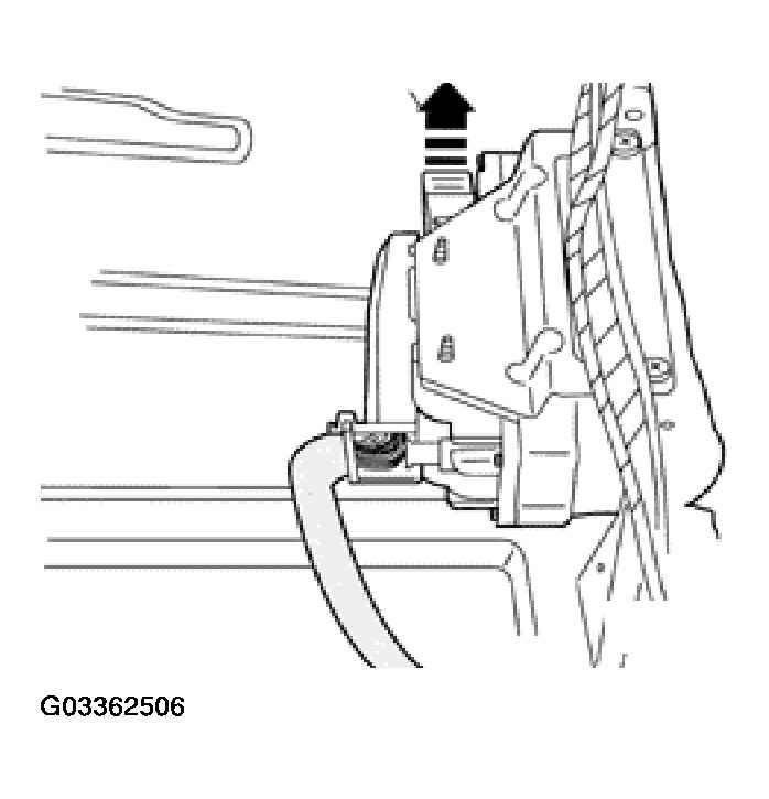 G03362506