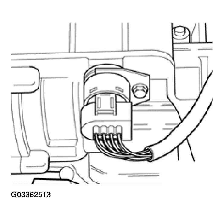 G03362513