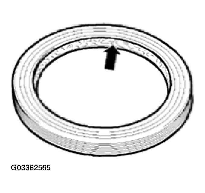 G03362565