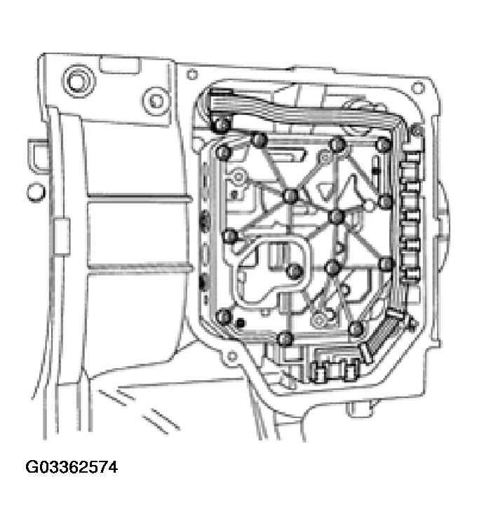 G03362574