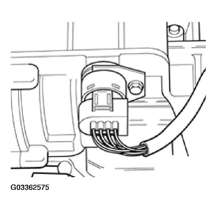 G03362575