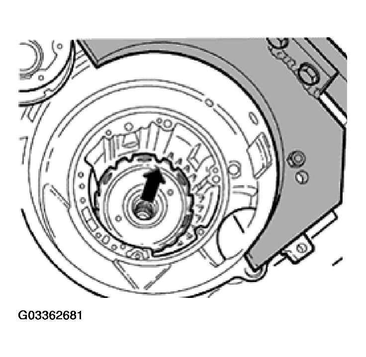 G03362681