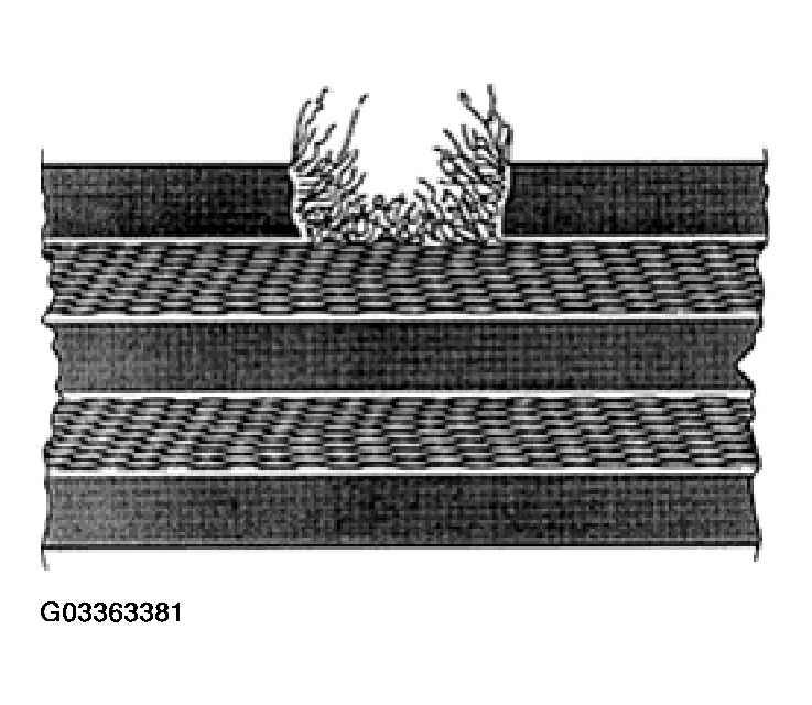 G03363381