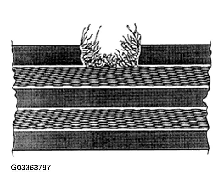 G03363797