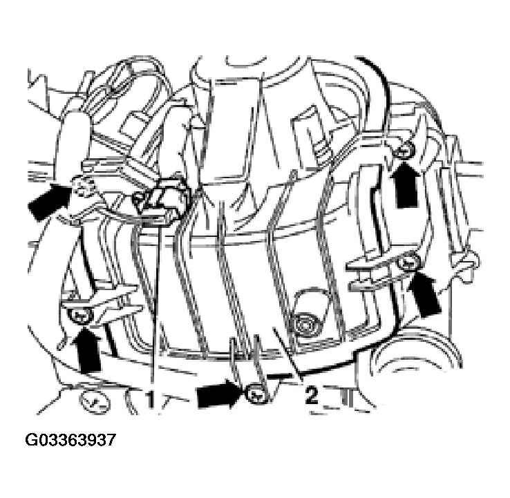 G03363937