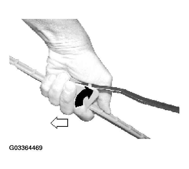 G03364469