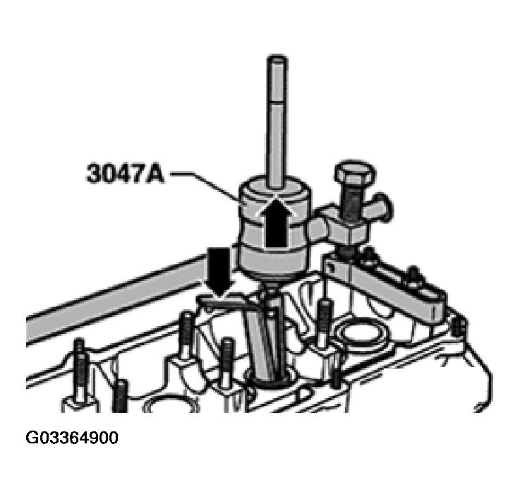 G03364900