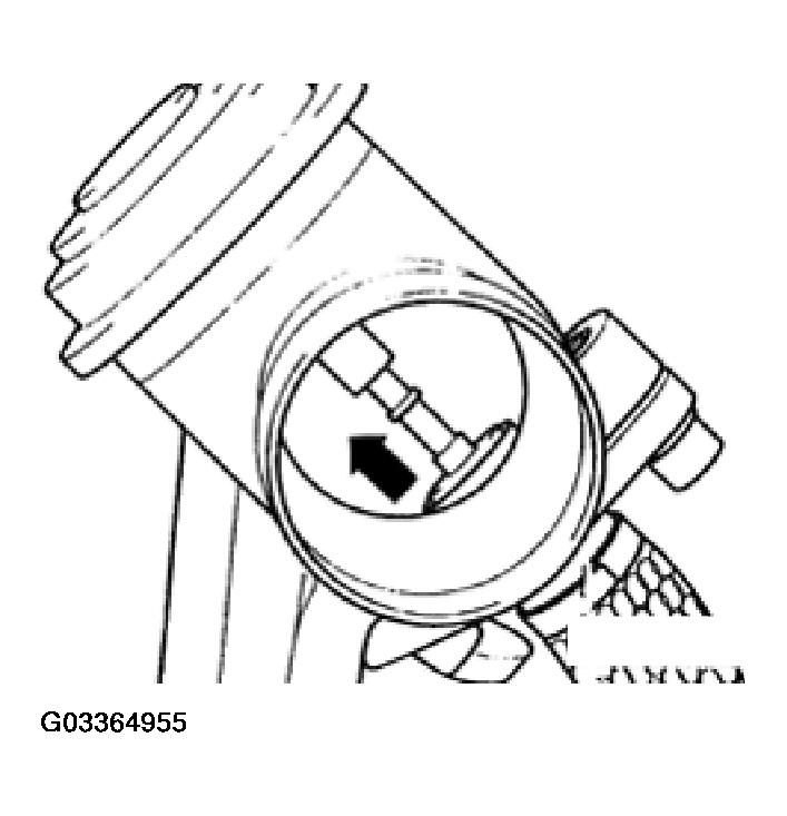 G03364955