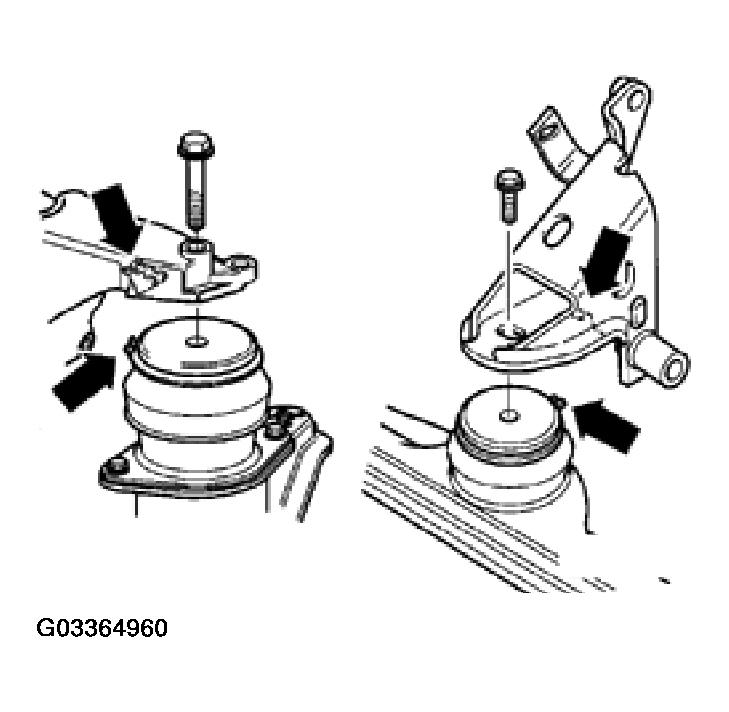 G03364960