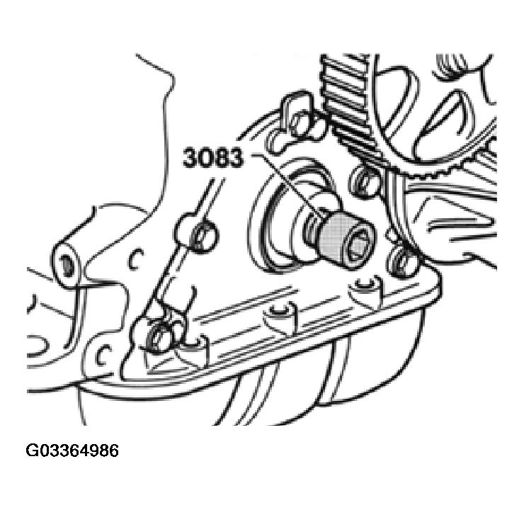 G03364986