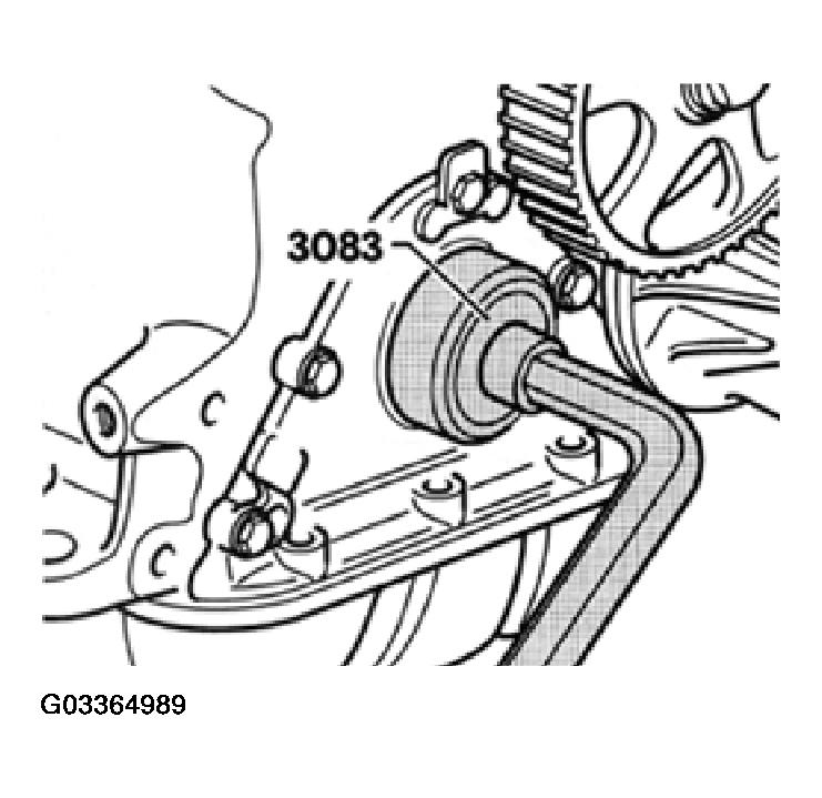 G03364989