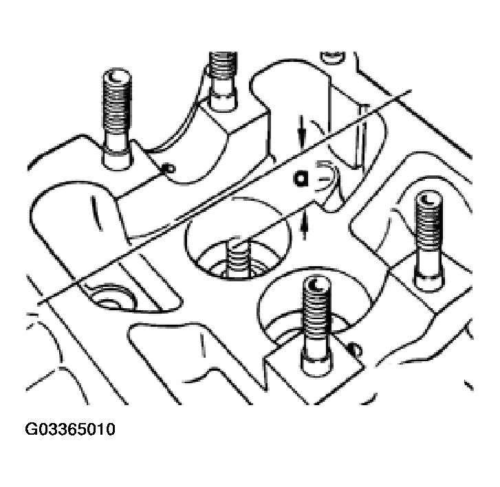 G03365010