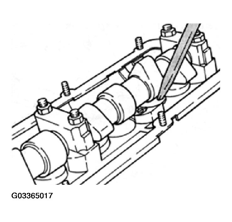 G03365017
