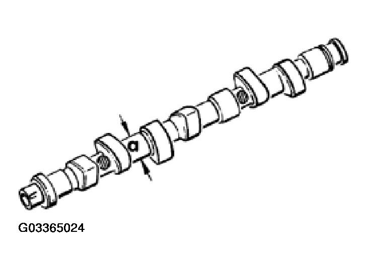 G03365024
