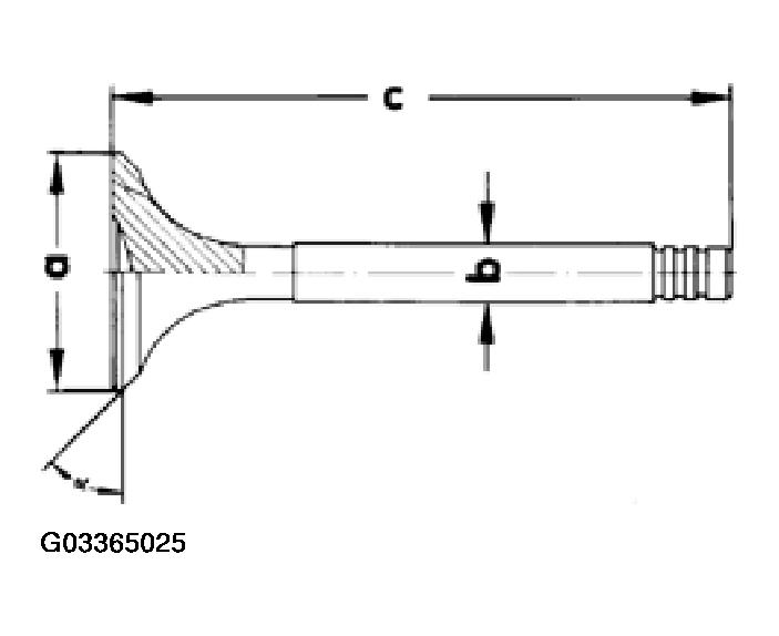 G03365025
