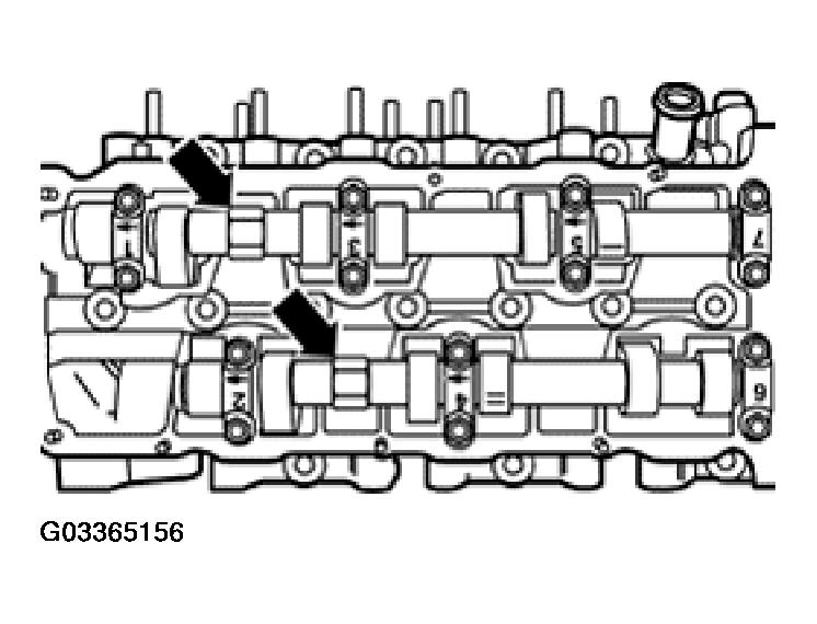G03365156