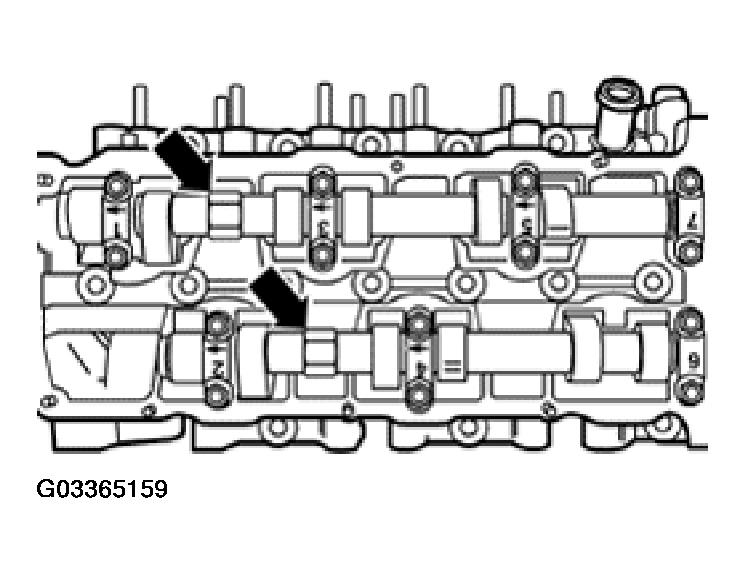G03365159