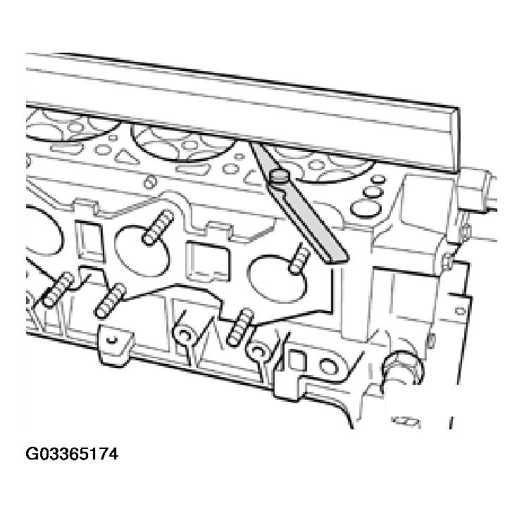 G03365174