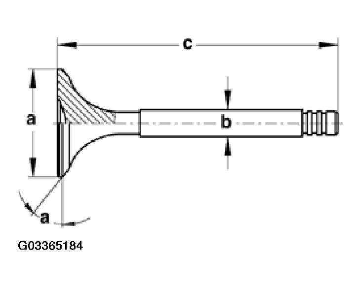 G03365184